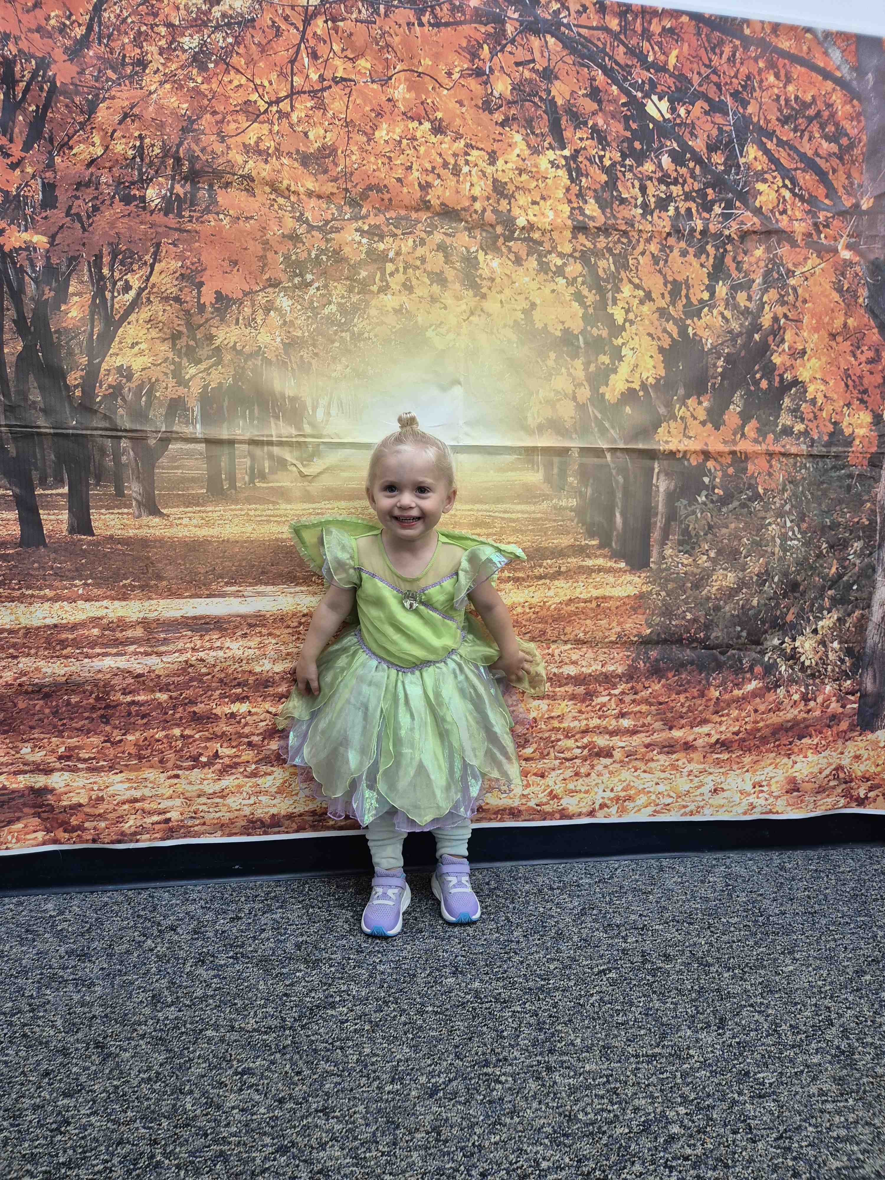 Evelyn Louise Cronin